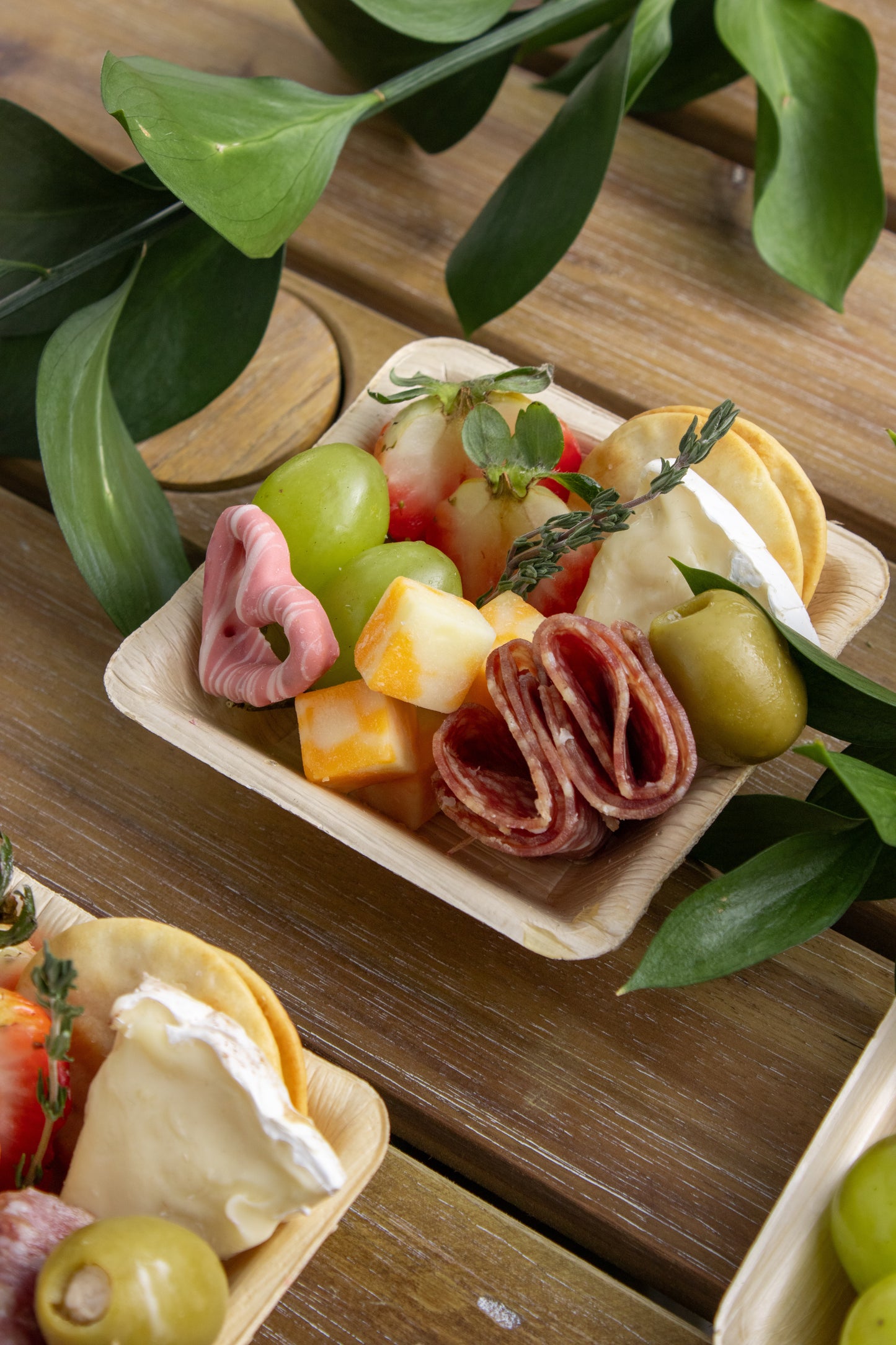 PLATES - 3 SIZES